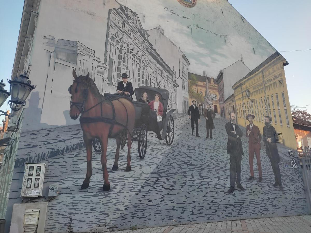 Woody Apartman Újvidék Kültér fotó