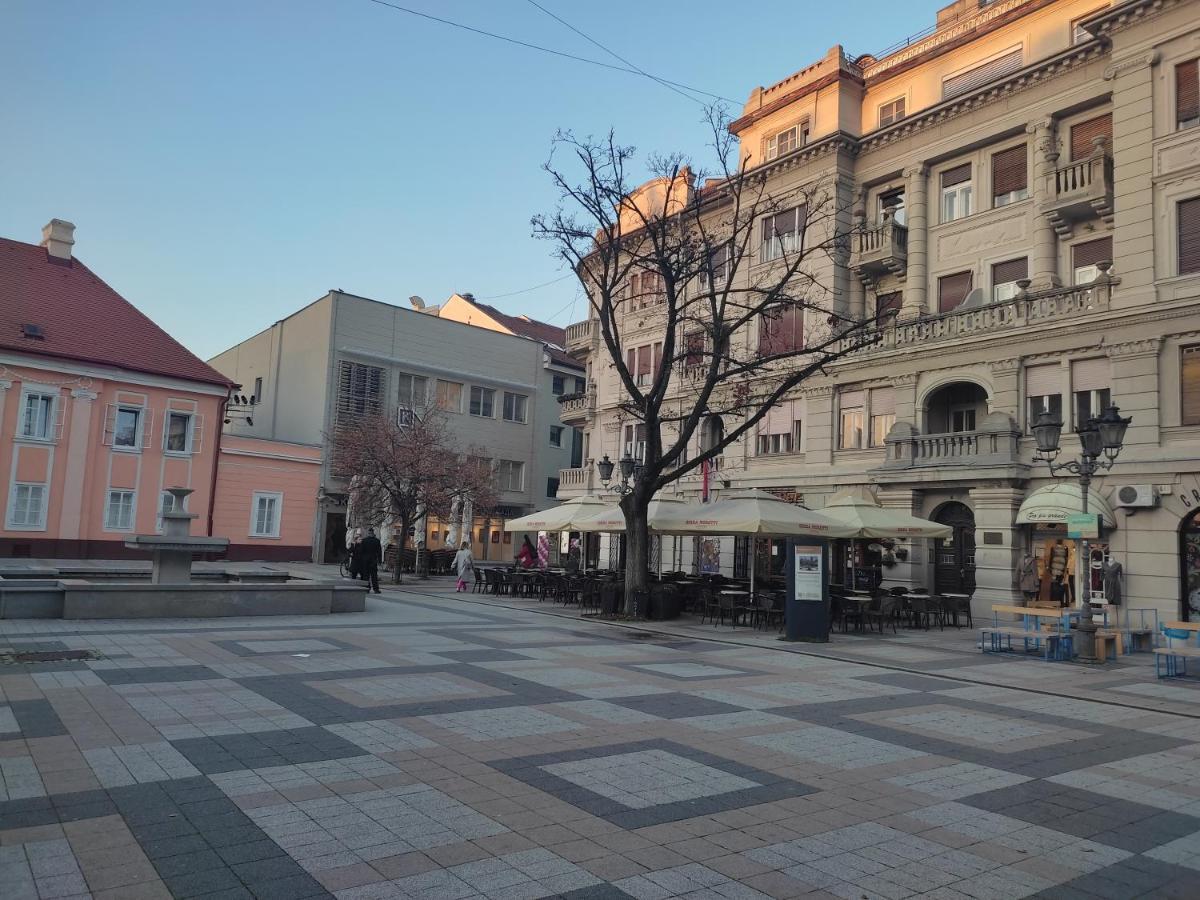 Woody Apartman Újvidék Kültér fotó